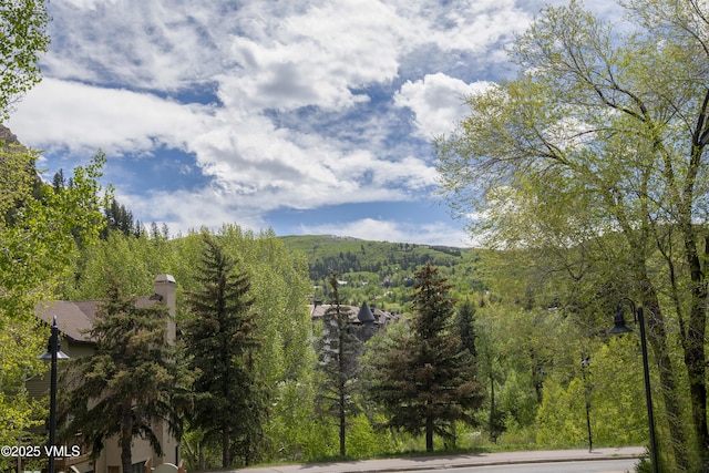 175 Hurd Ln Unit 3101, Avon, CO 81620 - view of mountain backdrop with a forest