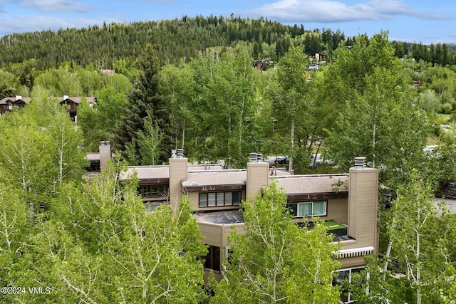 411 Eagle Dr Unit 10, Eagle-Vail, CO 81620 - view of subject property with a heavily wooded area