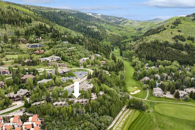 411 Eagle Dr Unit 10, Eagle-Vail, CO 81620 - view of property location with a heavily wooded area, a mountain backdrop, and a golf club