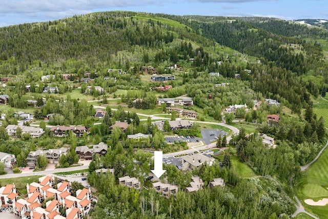 411 Eagle Dr Unit 10, Eagle-Vail, CO 81620 - view of property location with a heavily wooded area, a mountain backdrop, and nearby suburban area