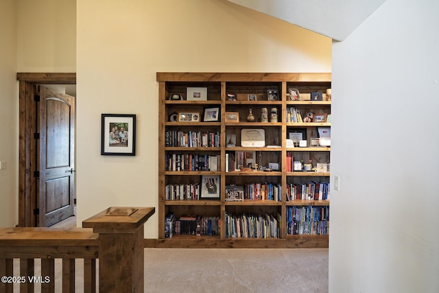 93 S Penstemon Ln, Eagle, CO 81631 - interior space with carpet floors