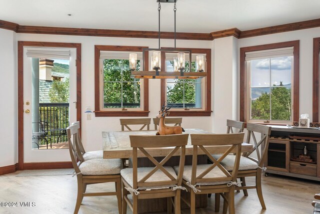 dining room featuring hardwood / wood-style floors, ornamental molding, and a wealth of natural light