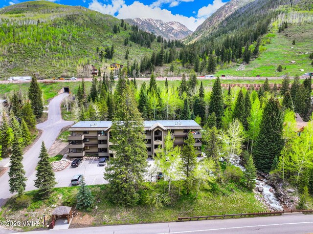 4295 Columbine Dr Unit 5, Vail, CO 81657