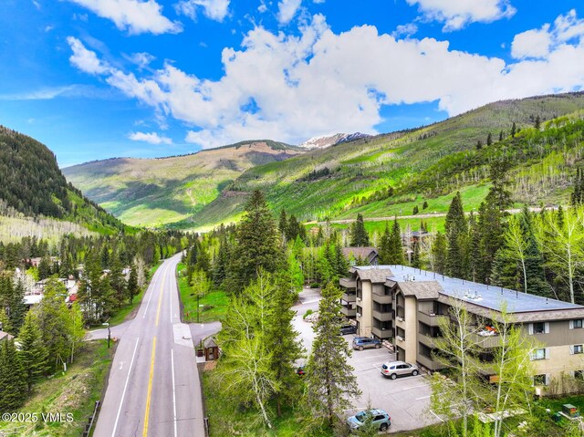 4295 Columbine Dr Unit 5, Vail, CO 81657