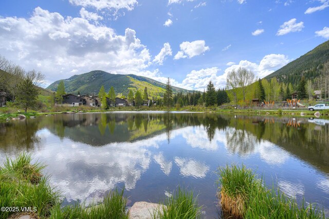 4295 Columbine Dr Unit 5, Vail, CO 81657