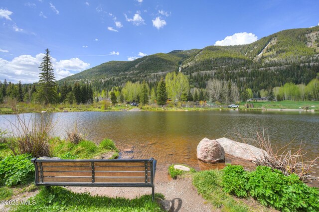 4295 Columbine Dr Unit 5, Vail, CO 81657