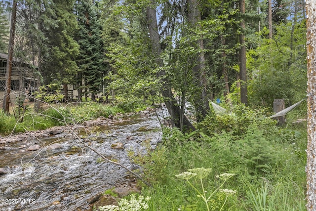 4259 Nugget Ln, Vail, CO 81657 - photo 24