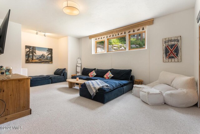 living room featuring rail lighting and carpet floors