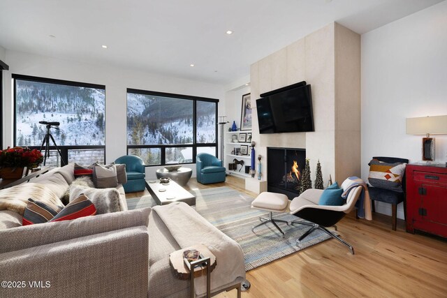 living room featuring a fireplace and light hardwood / wood-style flooring