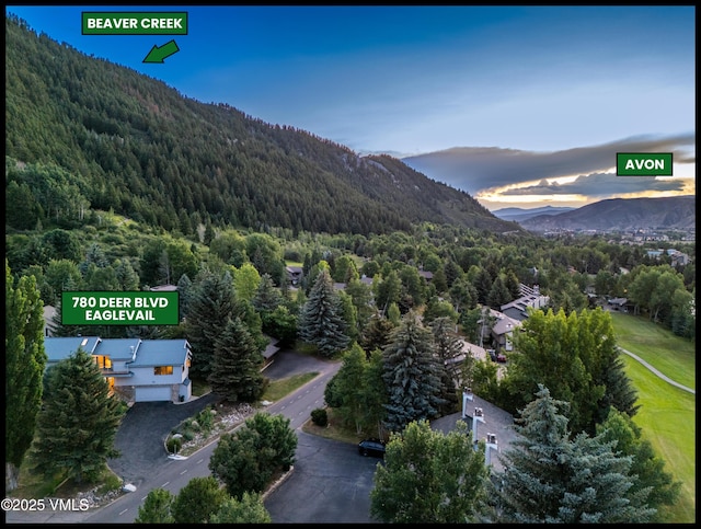780 Deer Blvd, Avon, CO 81620 - view of mountain background with a forest