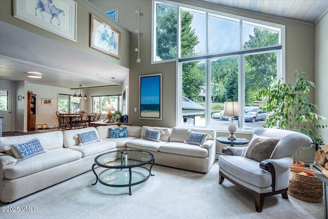 780 Deer Blvd, Avon, CO 81620 - view of living area