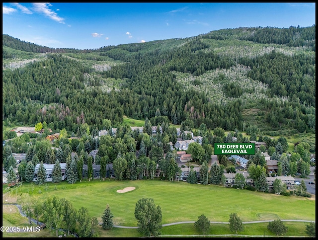 780 Deer Blvd, Avon, CO 81620 - drone / aerial view of a forest and a golf course