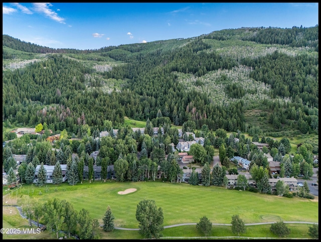 780 Deer Blvd, Avon, CO 81620 - bird's eye view of a forest and a golf club