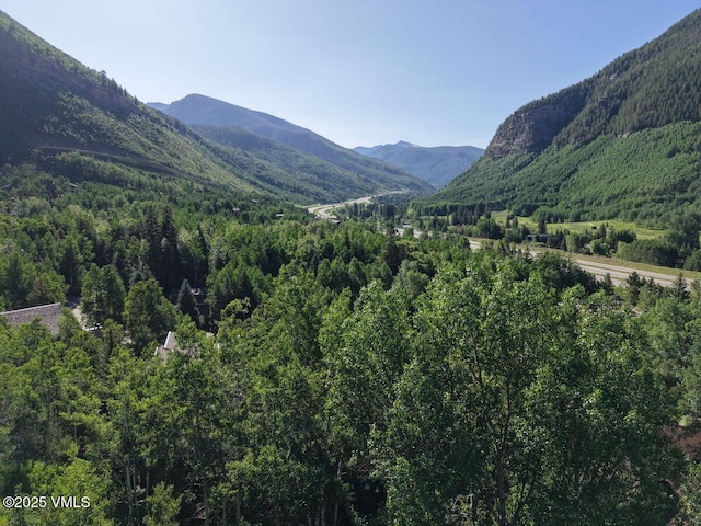 2875 Manns Ranch Rd Unit J-2, Vail, CO 81657 - photo 31