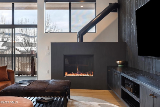 living room featuring light hardwood / wood-style floors