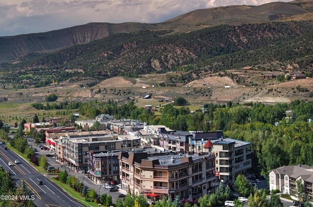 aerial view with a mountain view