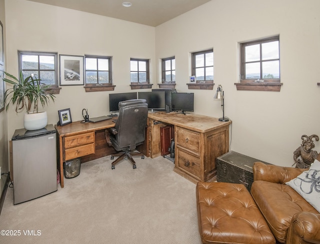 75 Aster Ct, Eagle, CO 81631 - office featuring light colored carpet