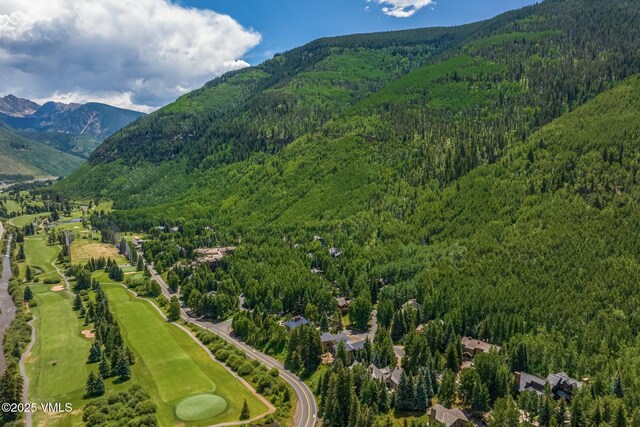1487 Vail Valley Dr, Vail, CO 81657 - photo 69