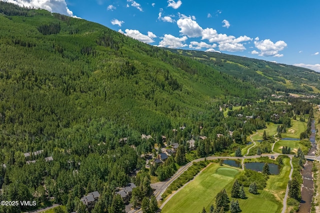 1487 Vail Valley Dr, Vail, CO 81657 - photo 68