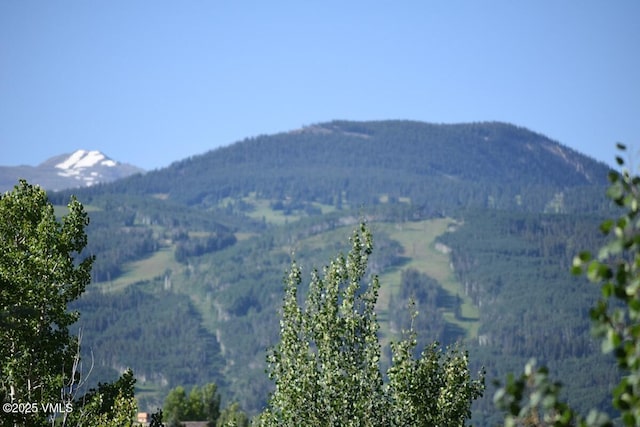 3078 Wildridge Rd Unit D, Avon, CO 81620 - view of mountain background with a heavily wooded area