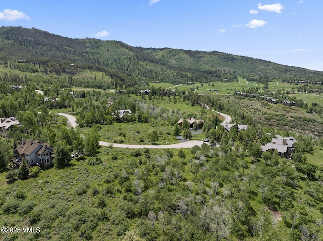 268 Aspen Meadows Rd, Edwards, CO 81632