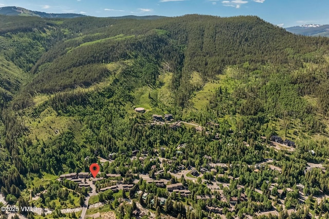 2540 Kinnikinnick Rd Unit G-2, Vail, CO 81657 - aerial overview of property's location with a heavily wooded area and a mountain backdrop