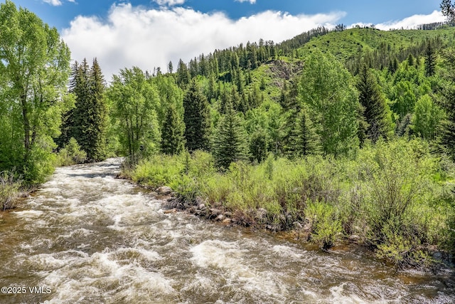2540 Kinnikinnick Rd Unit G-2, Vail, CO 81657 - view of tree filled area