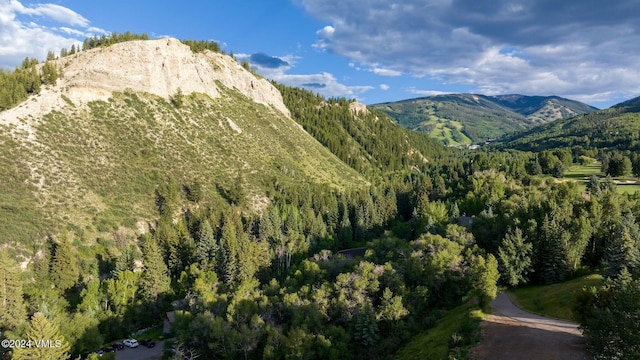 view of mountain feature with a forest view