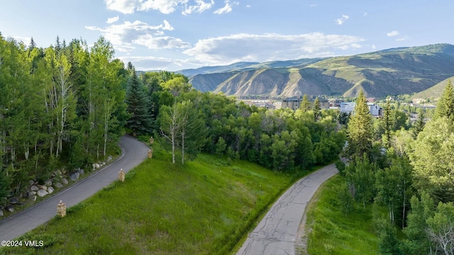 view of mountain feature