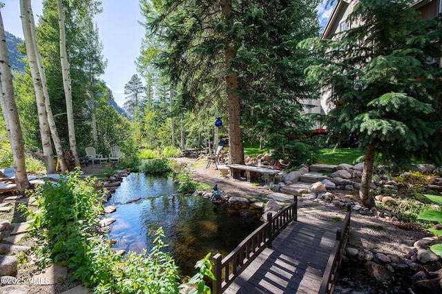 4240 Spruce Way, Vail, CO 81657 - view of home's community with a garden pond