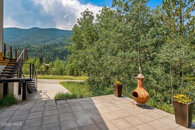 4545 Bighorn Rd, Vail, CO 81657 - photo 34