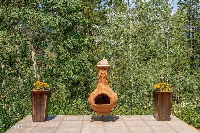 4545 Bighorn Rd, Vail, CO 81657 - photo 35