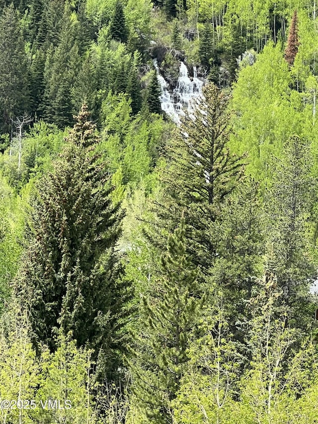 4545 Bighorn Rd, Vail, CO 81657 - photo 48