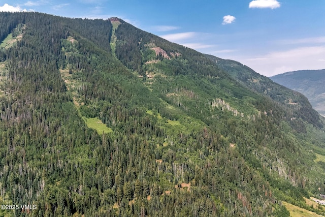 4545 Bighorn Rd, Vail, CO 81657 - photo 45