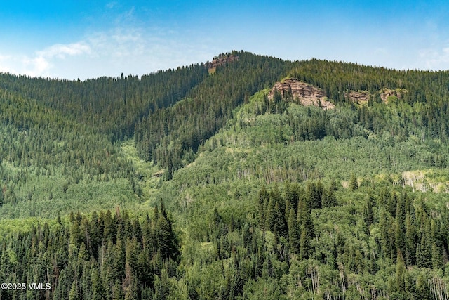 4545 Bighorn Rd, Vail, CO 81657 - photo 44