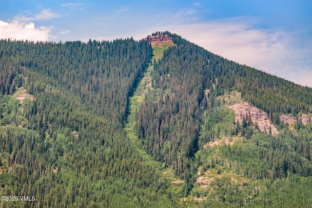 4545 Bighorn Rd, Vail, CO 81657 - photo 47