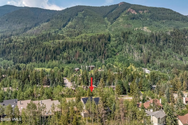 4545 Bighorn Rd, Vail, CO 81657 - photo 4
