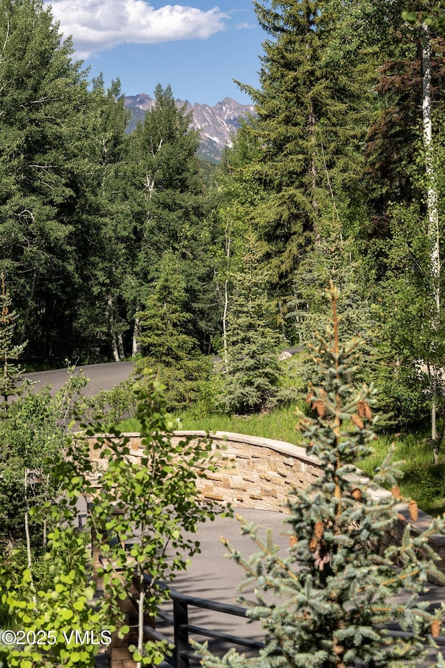 416 Forest Rd Unit A, Vail, CO 81657 - view of yard with a mountain view and a forest view