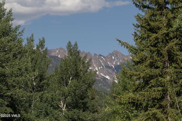 416 Forest Rd Unit A, Vail, CO 81657 - view of mountain backdrop