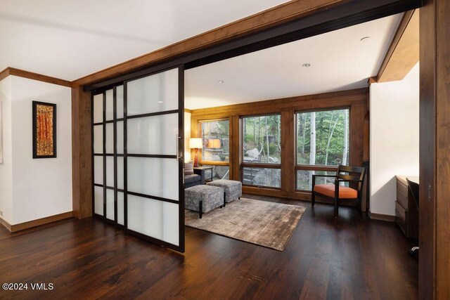 interior space with dark hardwood / wood-style floors