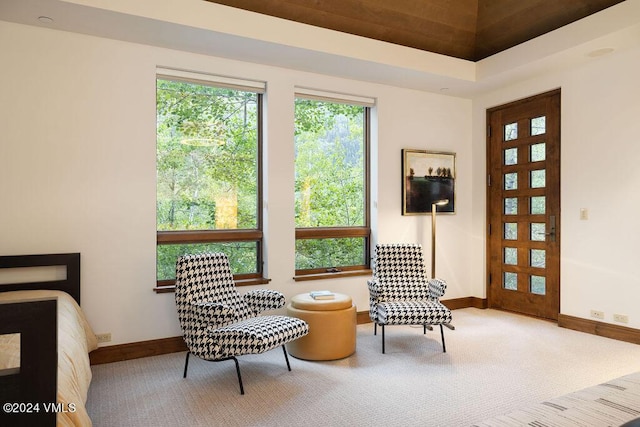 sitting room with carpet flooring