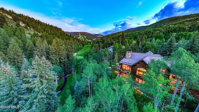 179 S Fairway Dr, Beaver Creek, CO 81620 - view of mountain backdrop with a forest