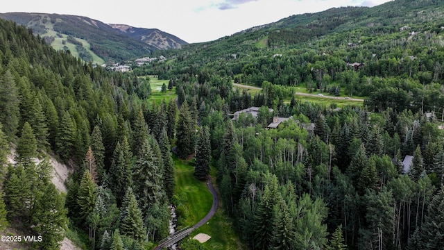 179 S Fairway Dr, Beaver Creek, CO 81620 - view of mountain backdrop featuring a heavily wooded area