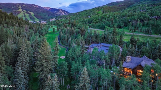 179 S Fairway Dr, Beaver Creek, CO 81620 - aerial view of property and surrounding area with a forest and mountains