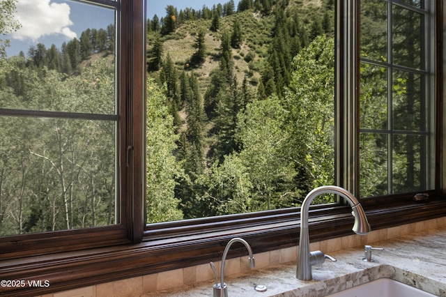 179 S Fairway Dr, Beaver Creek, CO 81620 - detailed view of stone counters and a sink