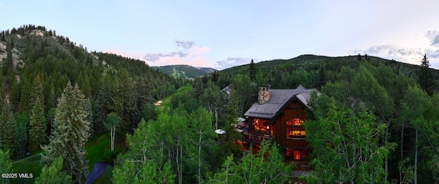 179 S Fairway Dr, Beaver Creek, CO 81620 - mountain view with a heavily wooded area