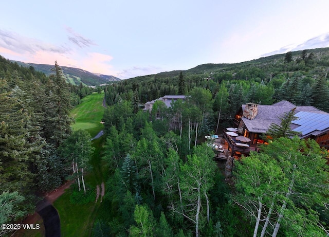 179 S Fairway Dr, Beaver Creek, CO 81620 - view of mountain backdrop featuring a forest