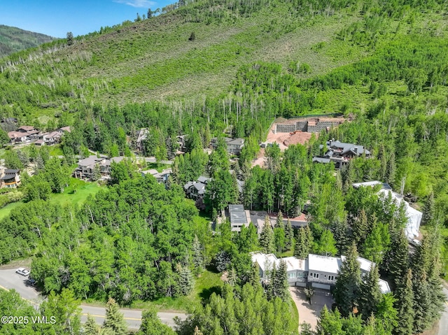 777 Potato Patch Dr Unit A, Vail, CO 81657 - aerial view of a forest