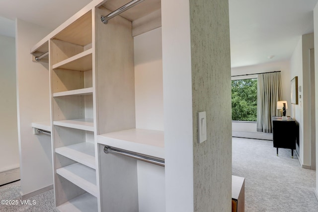 777 Potato Patch Dr Unit A, Vail, CO 81657 - walk in closet featuring carpet floors
