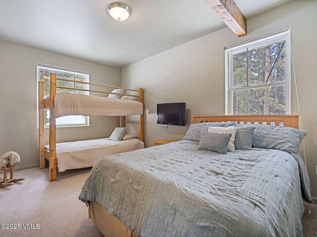 234 Peterson Dr, Alma, CO 80420 - photo 24